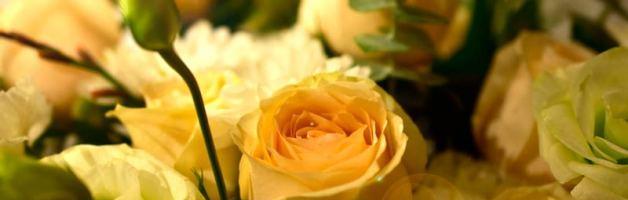 黄玫瑰的寓意与象征（绽放的快乐与友谊）