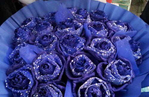 蓝玫瑰的花语与寓意（解读蓝玫瑰的神秘与美丽）