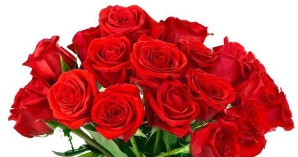浪漫的花语-以49朵玫瑰花代表的意义（玫瑰花语之言传情意）