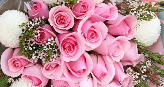 61朵玫瑰花的花语解读（一束玫瑰传递的深情意义）