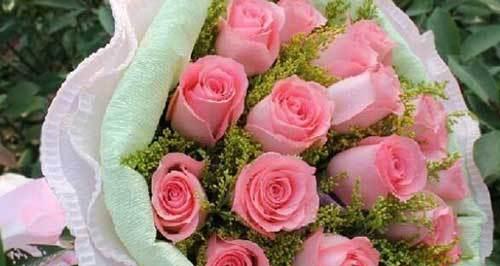 粉色玫瑰的花语与意义（探索粉色玫瑰的浪漫与喜悦）