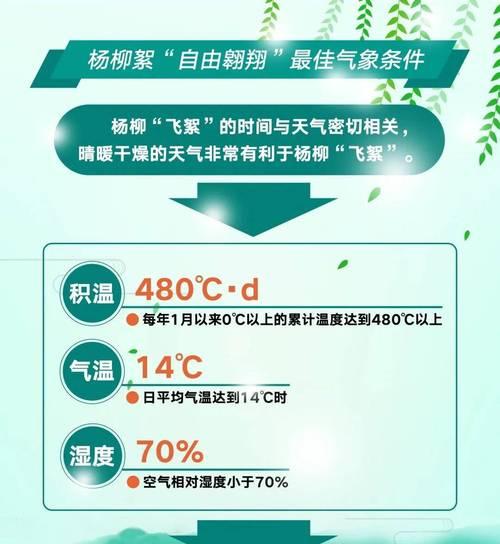 如何正确种植赤楠下山桩（注意事项与栽种方法）