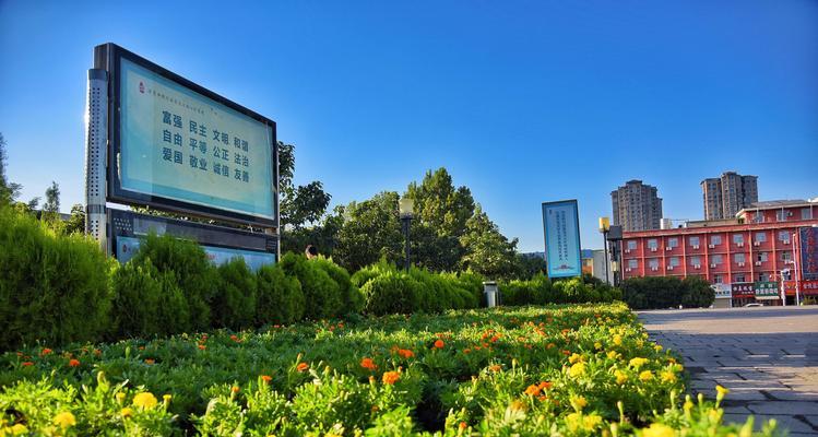 植物中的公平正义（揭示植物界中的公平正义原则与价值观）