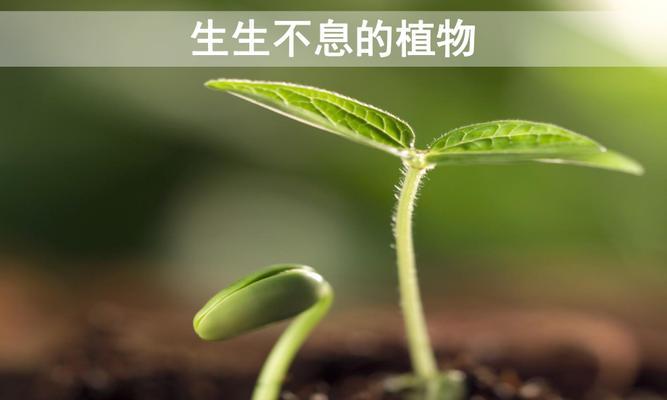 生生不息的植物世界（追寻永恒的生命之源）