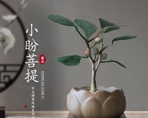 禅意之美（在绿色中寻找内心的宁静）