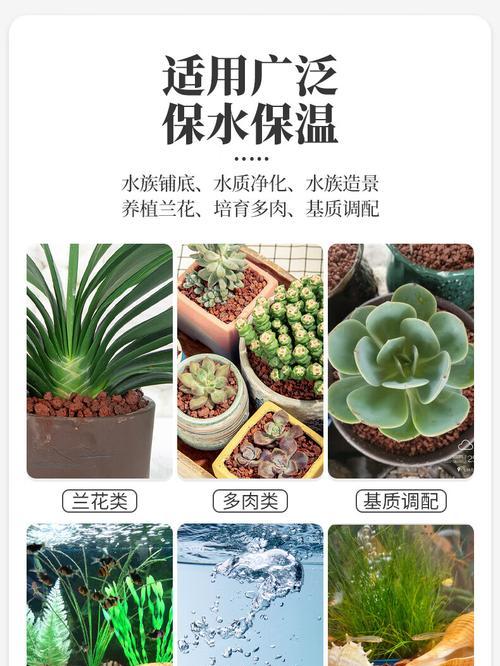 火山石种植兰花的正确方法是什么？