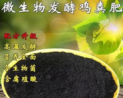 鸡蛋液能用作肥料吗？如何正确使用鸡蛋液作为植物肥料？