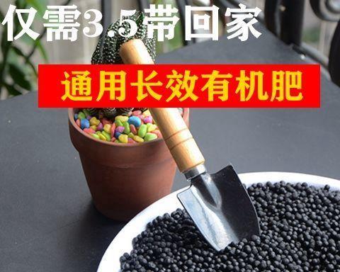 鸡粪可以种花吗？使用鸡粪作为肥料的正确方法是什么？