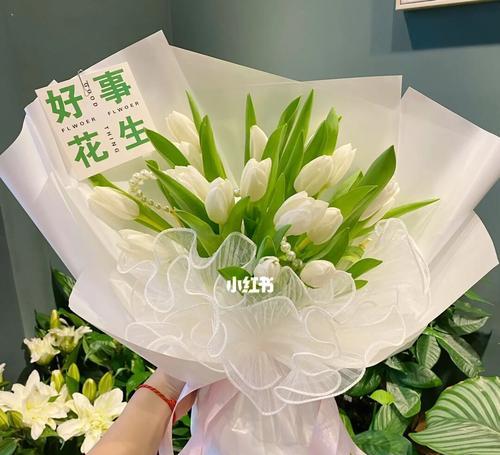 白郁金香花语是什么？如何表达爱意和祝福？