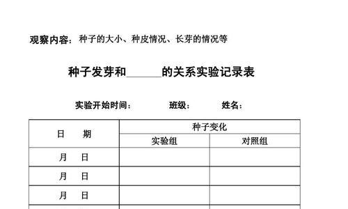 姬小菊种子怎么播种？播种方法有哪些常见问题？