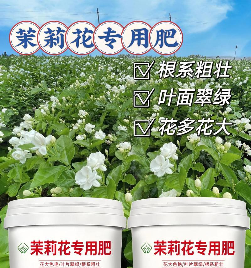 花卉开花需施肥料吗为什么？施肥的正确时机是什么时候？