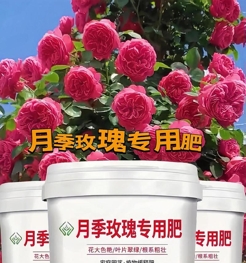 花卉开花需施肥料吗为什么？施肥的正确时机是什么时候？