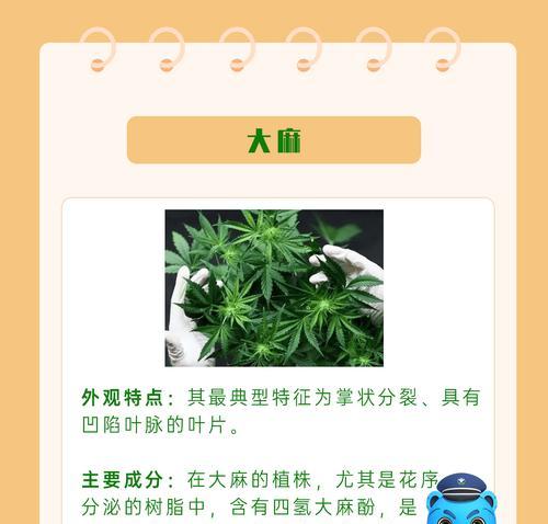 哪些植物含有毒素？这些植物为何会被列为毒品？