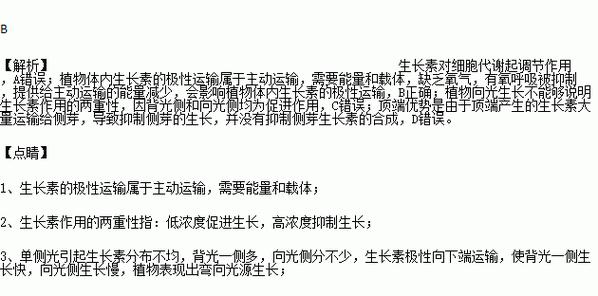 研究植物的前景如何？有哪些热门领域？