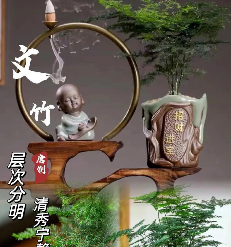 竹子的花语有哪些特别含义？