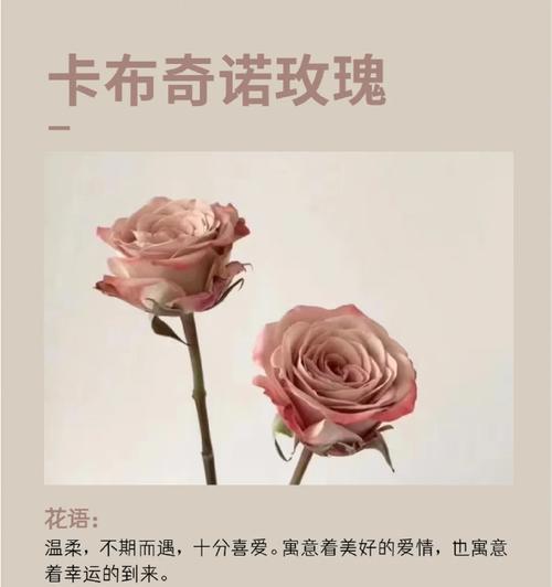 尤加利的花语有哪些含义？