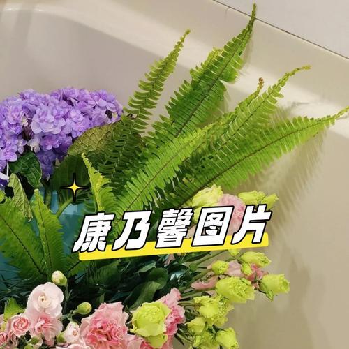 送给老师的康乃馨有何花语？这种花代表了什么？