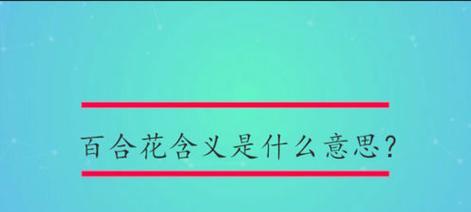 三支百合花的含义是什么？百合数量的特别意义。